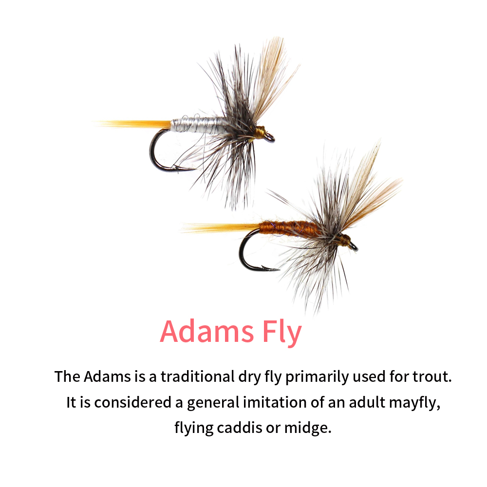 Adam flies Dry Fly Adult Mayfly fishing bait - Gofor Fishing