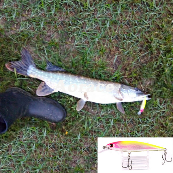 Laser Minnow Fishing Lure 6