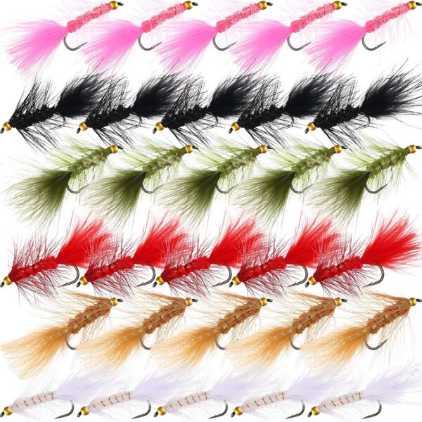 30 Pieces Fly Fishing Flies Streamer Fly Ass Dry Flies Nymphs Fly Fishing Flies Kit