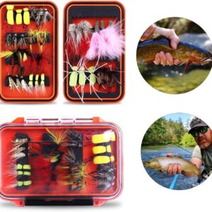 Fly Fishing Flies Assortment Kit 50/100pcs D Dry Flies Nymphs Fly